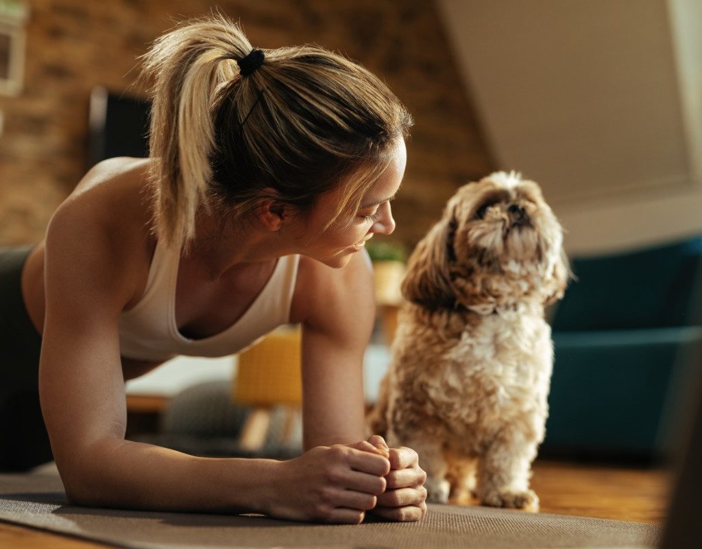 companero de entrenamiento